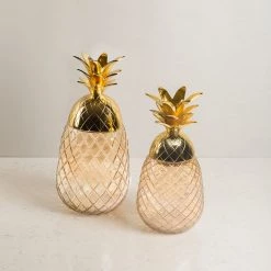 ELM AND OAK Accessories Malibu Pineapple Jar Amber (Set Of 2)
